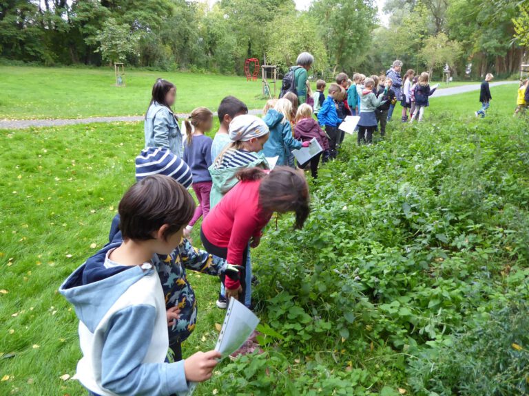 Die Kinder sollten mit Hilfe von Fotos die blühenden Pflanzen erkennen.