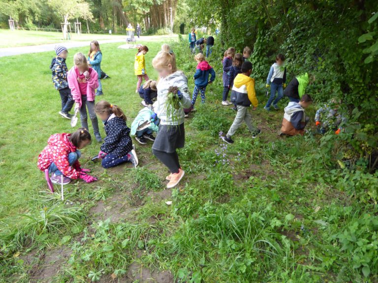 So gut es geht wird der Staudenstreifen von Gras und anderen stark wuchernden Pflanzen befreit.
