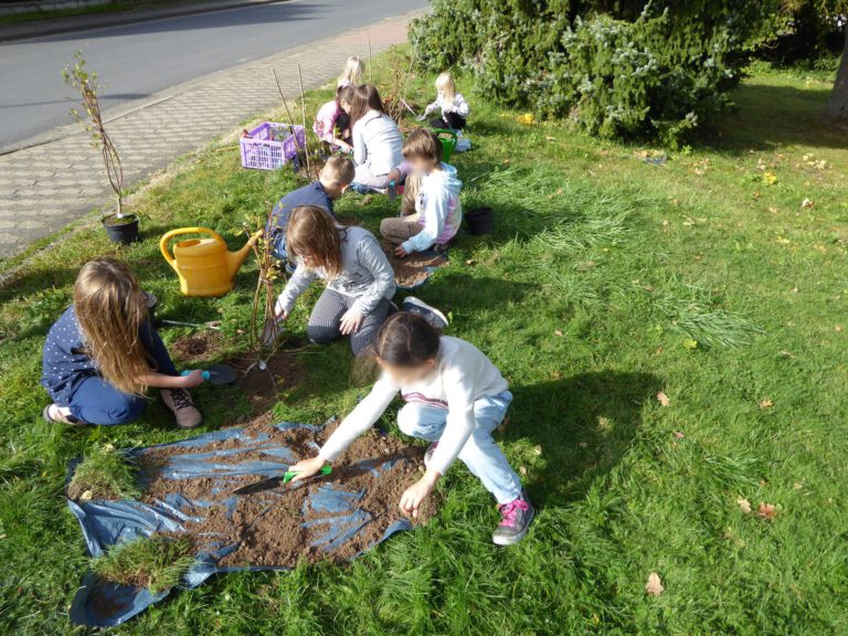 Die Ohrweiden werden gepflanzt.