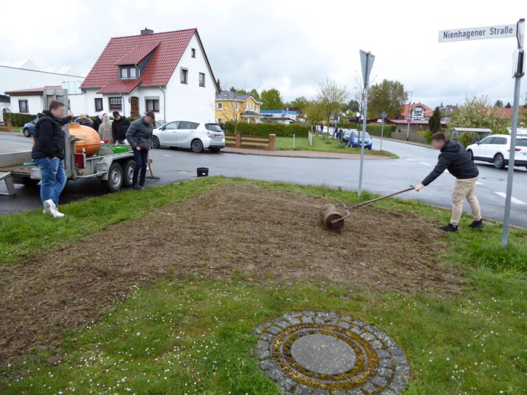 Anwalzen des Saatguts