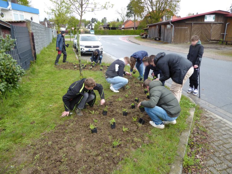 Vor dem Einpflanzen mussten die Pflanzen zunächst auf der zur Verfügung stehenden Fläche gleichmäßig verteilt werden.