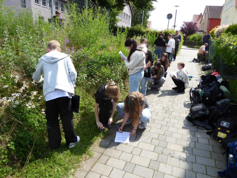 Intensiveres Beschäftigen mit den Stauden.