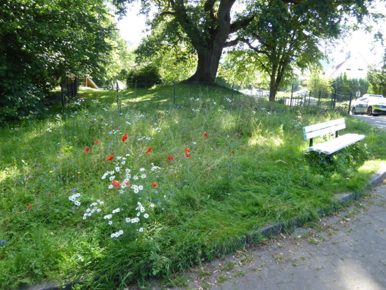 Hardegsen: Fläche Am Büh